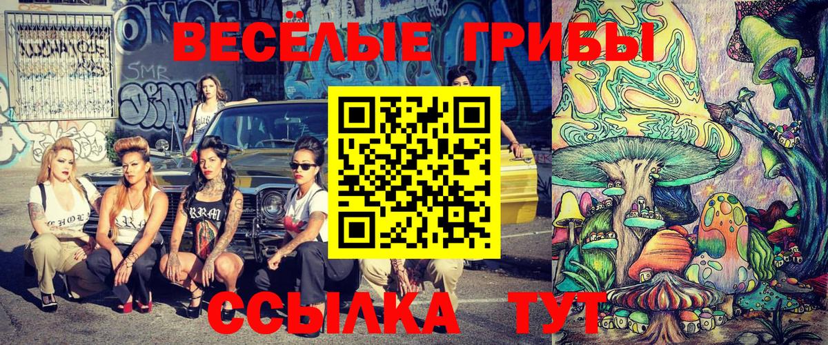 Дербент  Галлюциногенные грибы Psilocybine cubensis  как найти   Вход с VPN 
