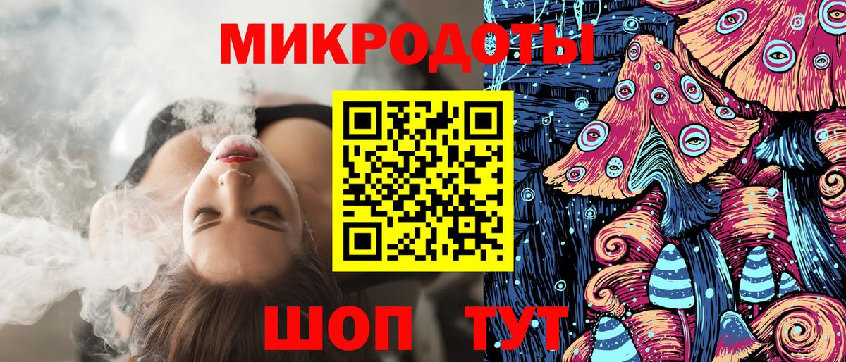 Галлюциногенные грибы Psilocybe Дербент